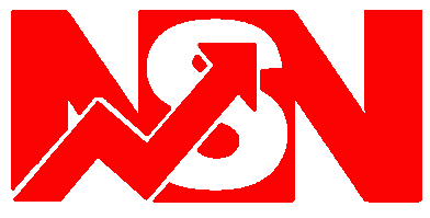 nsn finance logo